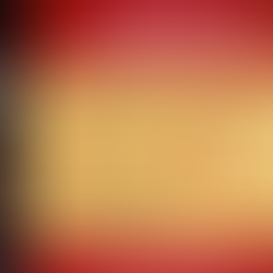 divine mercy novena & liturgy