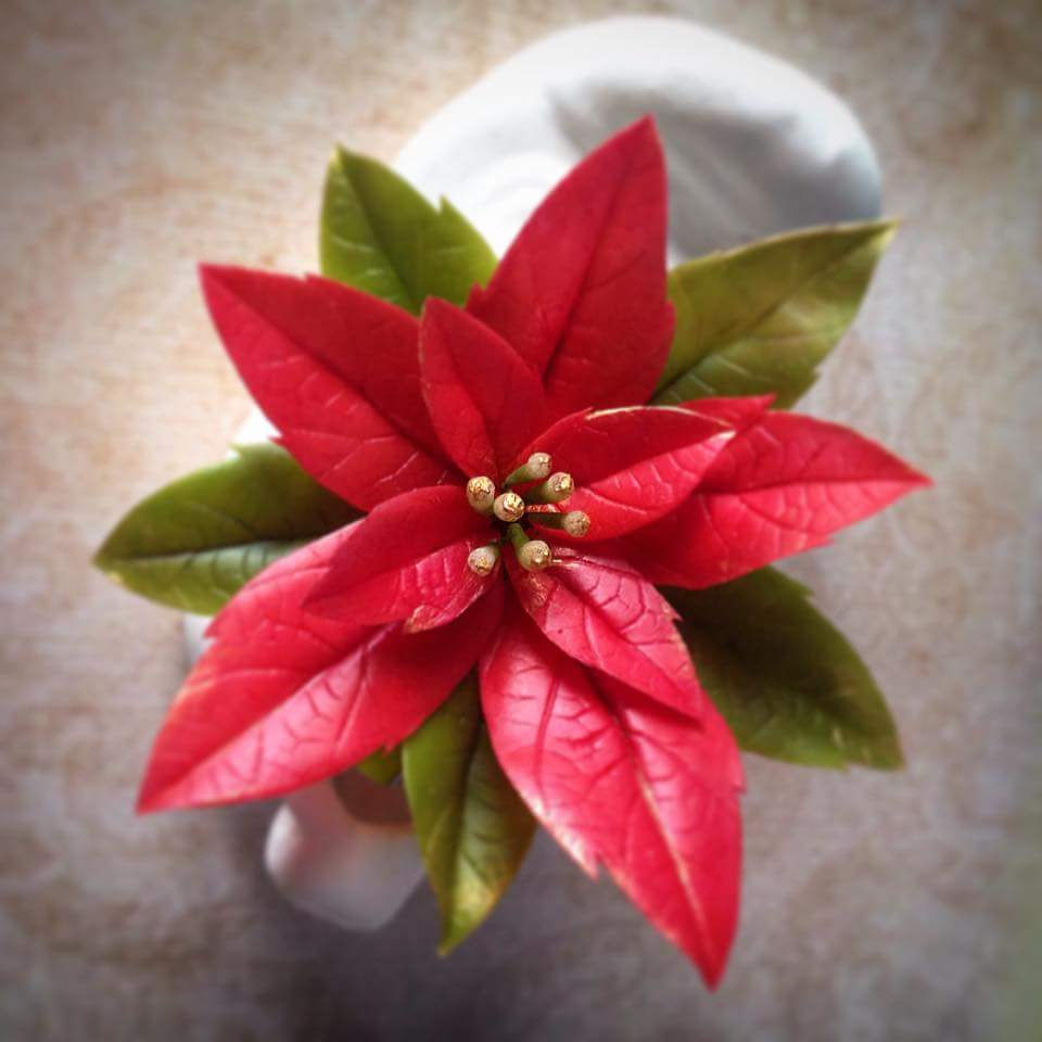 Spilla Stella di Natale