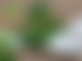 CO KRYJE SIĘ W GUMACH DO ŻUCIA?