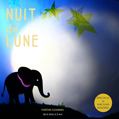 Nuit de Lune visuel.png