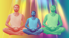 Ayurvedic Mental Health Counseling: A Holistic Approach to Emotional Well-being
