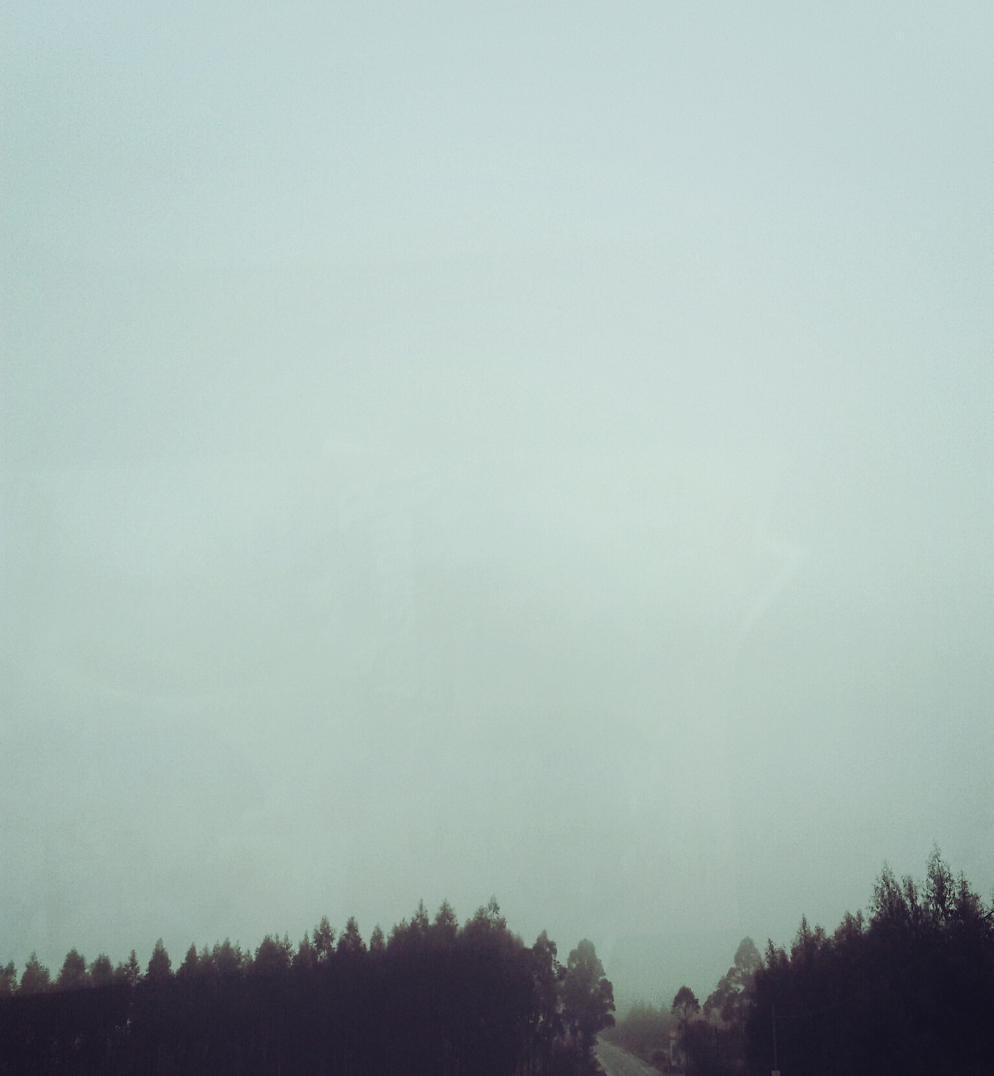 Forest Road