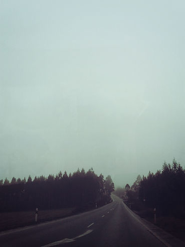 Misty Forest Road