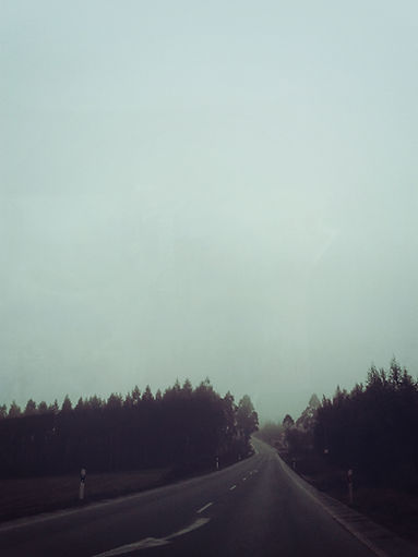 Forest Road