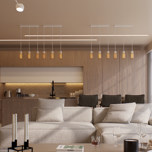 Living and Kitchen 