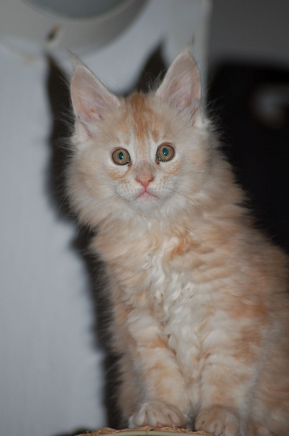 DSC_0852.JPG