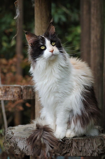 DSC_6422.JPG