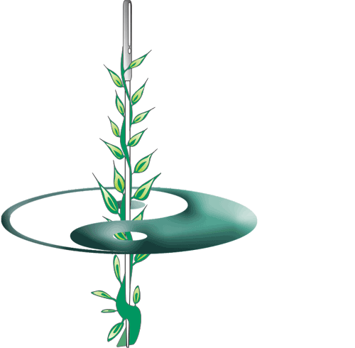 LOGO.gif