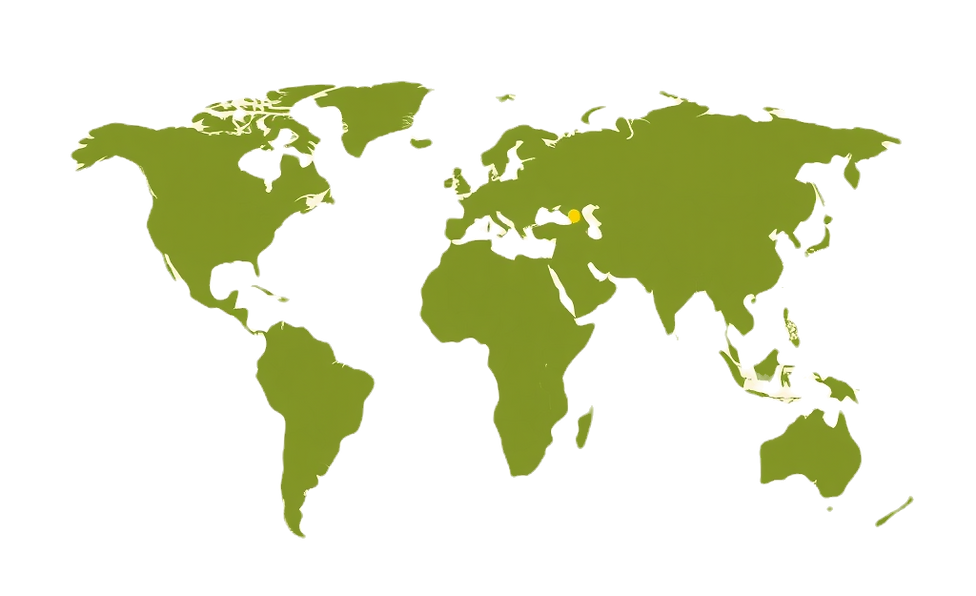 Flat olive green world map on a warm beige background, highlighting SHE™’s global tropical soil projects.