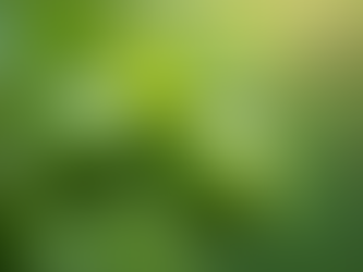 Foliares para cultivos en floración: claves para una floración exitosa