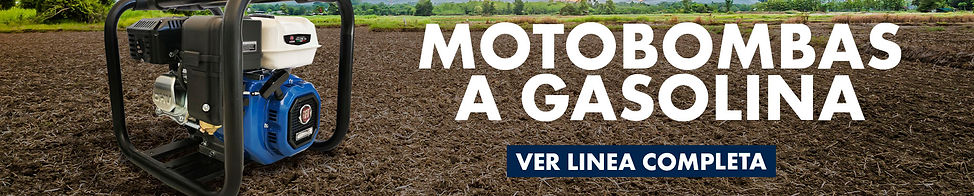 banner fIat Motombas