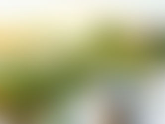 Agricultura y Agropecuaria: Dos Caminos que se Cruzan para Alimentar al Mundo