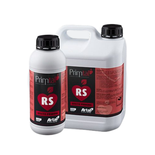 Primtal RS | Inagroci