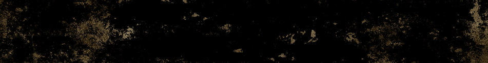 VIRTUAL REGIONALS WEBPAGE (2).png