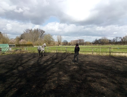 Camille ; Flamme ; Camille Flamme ; Lille ; Bourghelles ; Tournai ; Douai ; equicoaching ; equi coaching ; équicoaching ; équi coaching ; cheval ; thérapie ; développement personnel ; developpement personnel ; bien-etre ; bien-être ; bien etre ; bien être ; résilience ; resilience ; résiliance ; resiliance ; dépression ; depression ; mal-etre ; mal-être ; mal etre ; mal être ; équithérapie ; equitherapie ; équi thérapie ; equi therapie ; motivation ; goût de vivre ; gout de vivre ; gestion des émotions ; gestion de la colère ; gestion de la violence ; addiction ; conduites addictives ; décrocher ; cancer ; peur de la mort ; crainte de la mort ; angoisse ; deuil ; indécision ; indecision ; choix de vie ; faire des choix ; décision ; decision ; inconscient ; révéler le potentiel ; potentiel latent ; se ressourcer