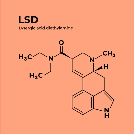 Einfluss von LSD auf Feedforward- und Feedback-Prozesse in der visuellen Informationsverarbeitung