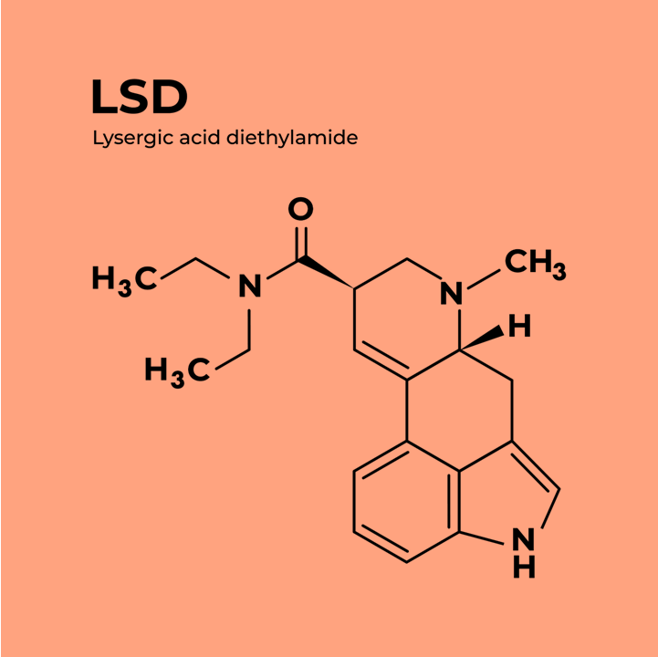 Einfluss von LSD auf Feedforward- und Feedback-Prozesse in der visuellen Informationsverarbeitung