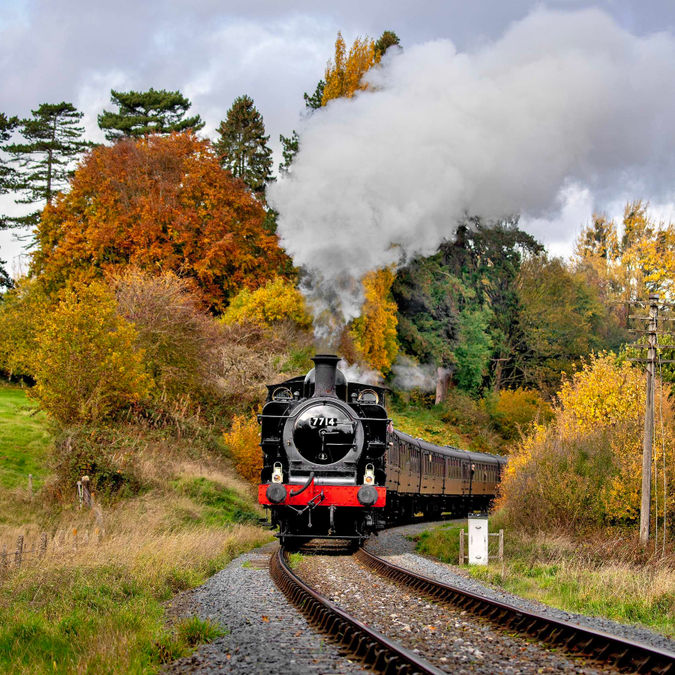 Autumn colours. Alan Corfield