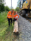 Removing the old, rotten post. Matt Morgan