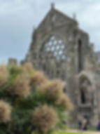 Abbey Ruins. Luke Vines
