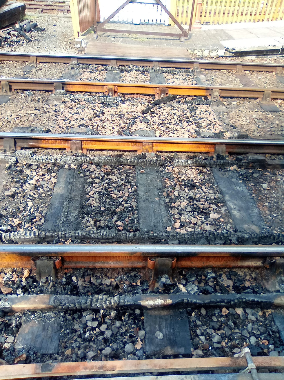 The charred remains of the barrow crossing at Arley. Catherine Martin