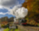 A rare chance to see pannier tank 9681 at the SVR's Autumn Steam Gala. Bob Green