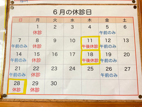 6月の診療予定について※更新しました(5/12)