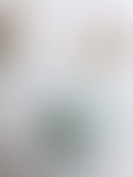 夢が膨らむ🪞学びの時間