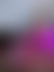 桜の余韻🗼🌸🍸️