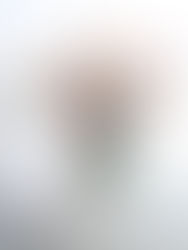 シャーベットカラーの可憐な秋桜