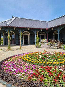 久しぶりの空旅・煌めく長崎の夜景