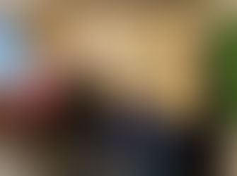 A Trip to Bexhill Museum