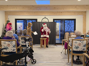 A Festive Variety Show 