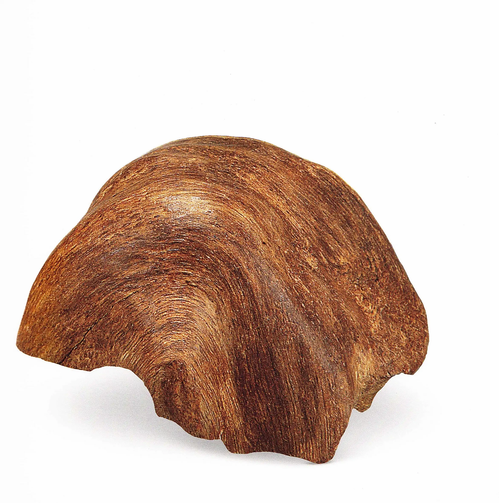 銘「賀」 聞香 香木 沈香 伽羅 香道 奇南 伽南 沉香 銘「寒月」 聞香