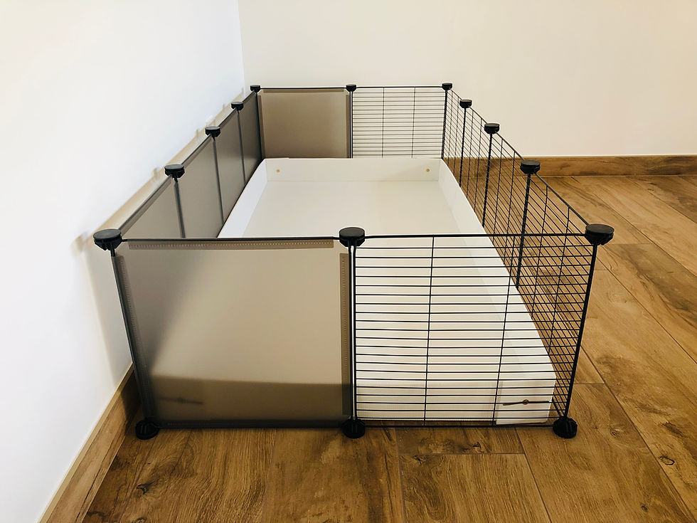 Miniature : Enclos modulable cavy cage 4x2 avec bac en coroplast pour cochon d'Inde