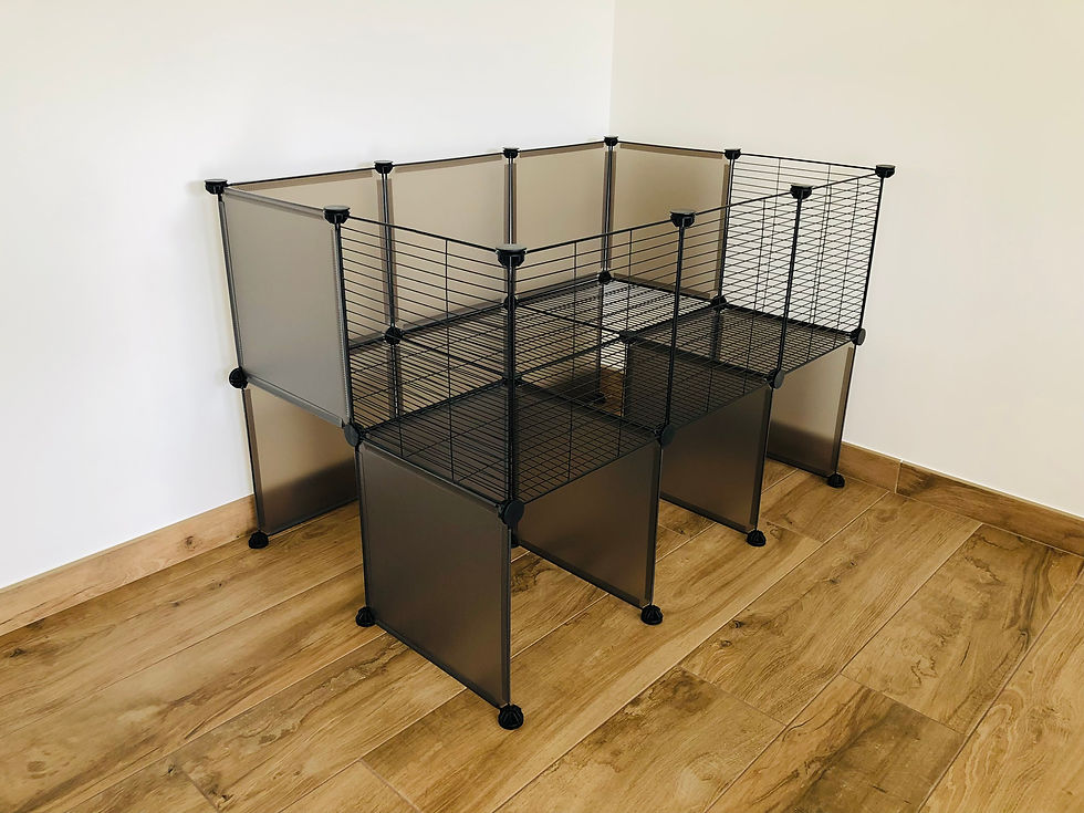 Miniature : Enclos modulable cavy cage 3x2 rehaussé pour cochon d'Inde