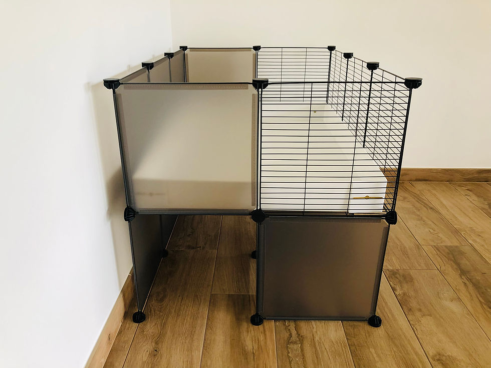 Miniature : Enclos modulable cavy cage 3x2 rehaussé avec bac en coroplast pour cochon d'Inde