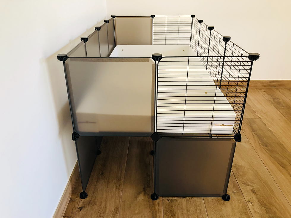 Miniature : Enclos modulable cavy cage 4x2 rehaussé avec bacs en coroplast pour cochon d'Inde