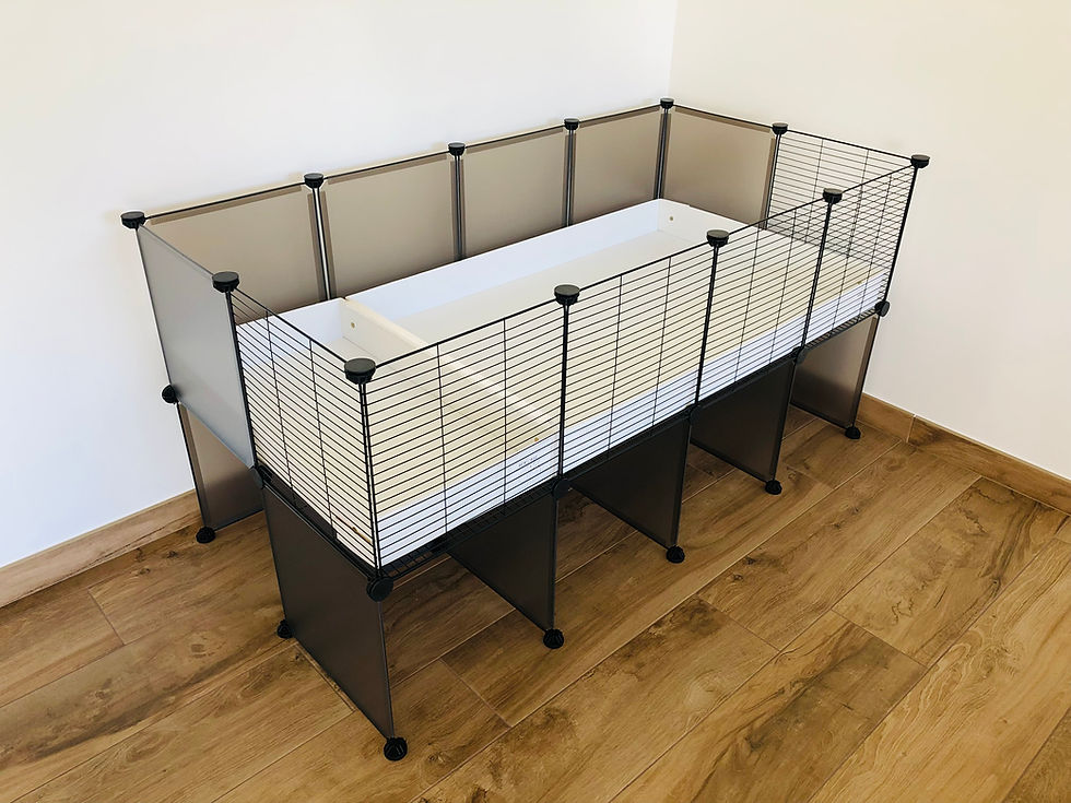 Miniature : Enclos modulable cavy cage 4x2 rehaussé avec bacs en coroplast pour cochon d'Inde