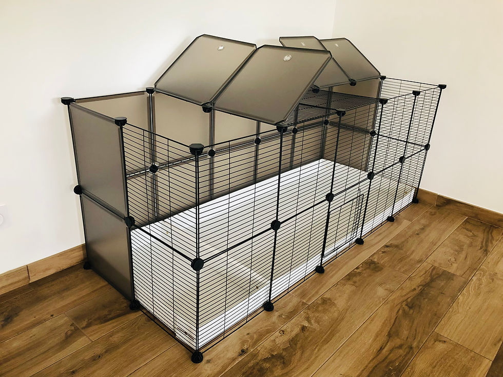 Miniature : Enclos modulable cavy cage 5x2 double hauteur avec 2 bacs en coroplast pour lapin