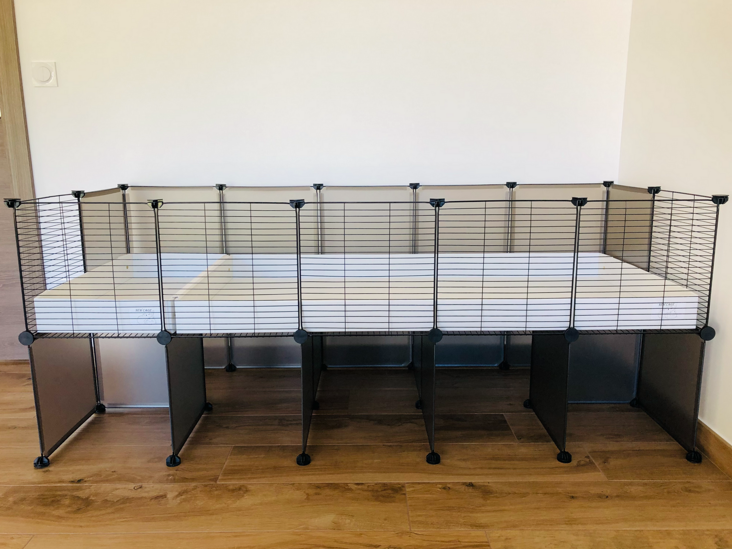 Enclos modulable cavy cage 5x2 rehaussé avec bacs en coroplast pour cochon d'Inde