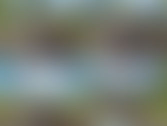 News, updates and winter calendar coming soon!