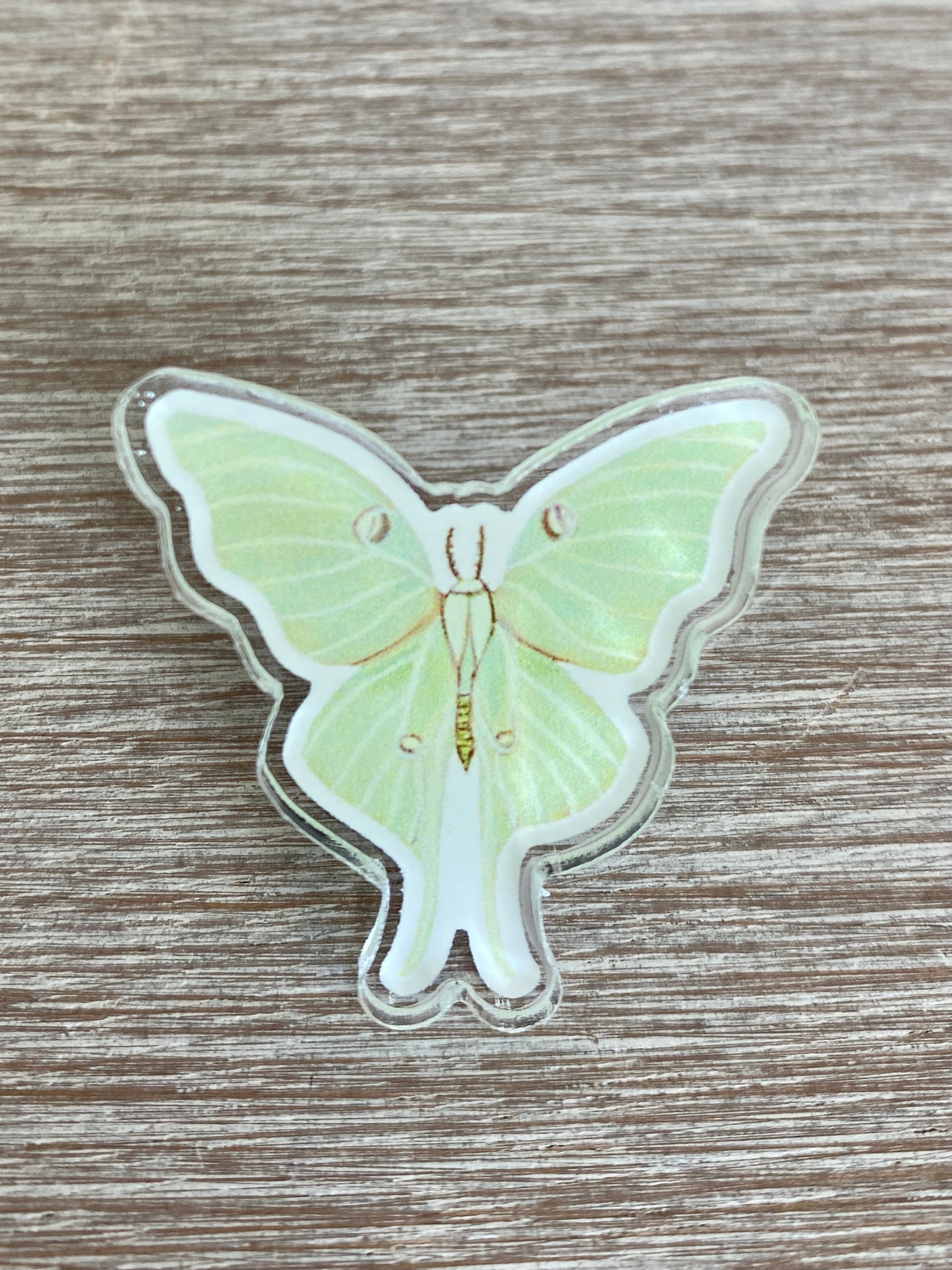 Luna Moth Acrylic Pin