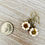 Thumbnail: Dainty Pressed Glass Flower Earrings in Ivory