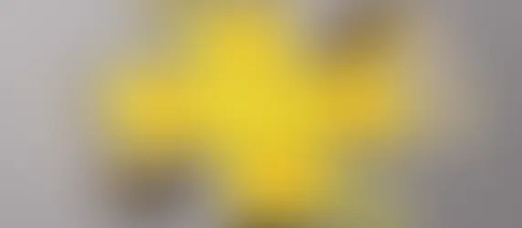 PS Plus December 2025 Lineup Leaks Reveal Assassin’s Creed Mirage and Wo Long: Fallen Dynasty