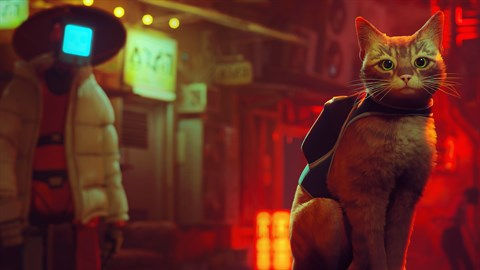 Stray Confirmed for Nintendo Switch Release