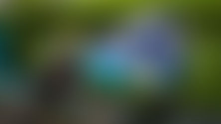 Bungie Cracks Down on Movement Exploits in Marathon Latest Update