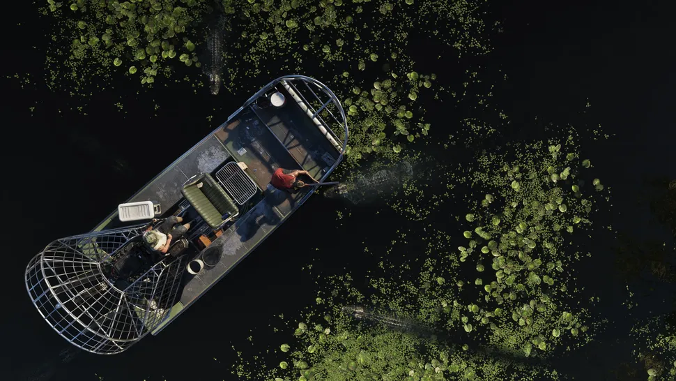GTA 6 Trailer 2 Drops Alongside 85 New Screenshots: Here's What We Saw