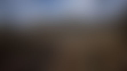 Former Elder Scrolls Loremaster Says He Quit Bethesda After Being Passed Over for The Elder Scrolls 6 Lead Role