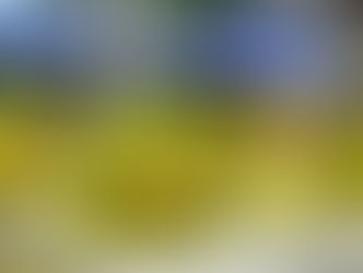 Image of Durian Pikachu